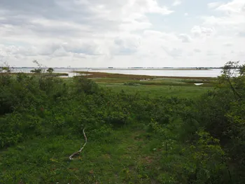 Halshuisene + Enebaerodde Beach (Denemarken)